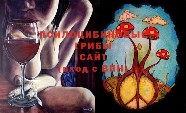 сатива Нефтекумск
