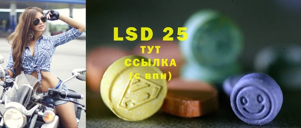 ешки Новодвинск