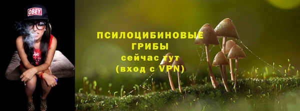 дживик Нязепетровск