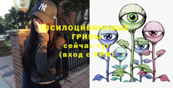 сатива Нефтекумск