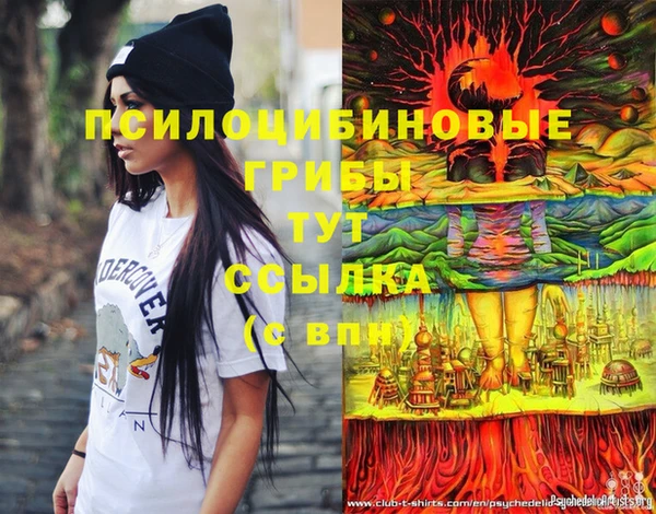 ешки Новодвинск